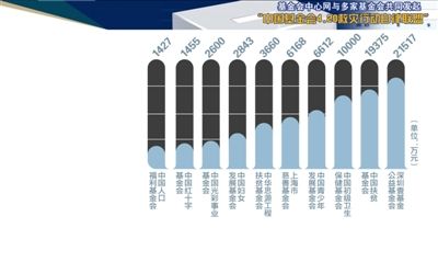 我国政府向公益组织开放民间资源