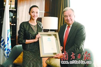 中国明星公益身影频频“闪耀”联合国