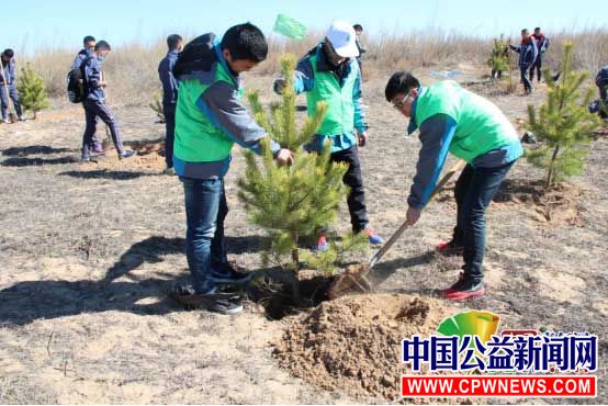 　图为郑州大学研支团成员种植树苗。郑大研支团 供图