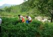 河南爱心企业主动扶贫要将荒山变"金山"