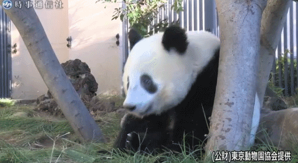 1546948482272192.gif
