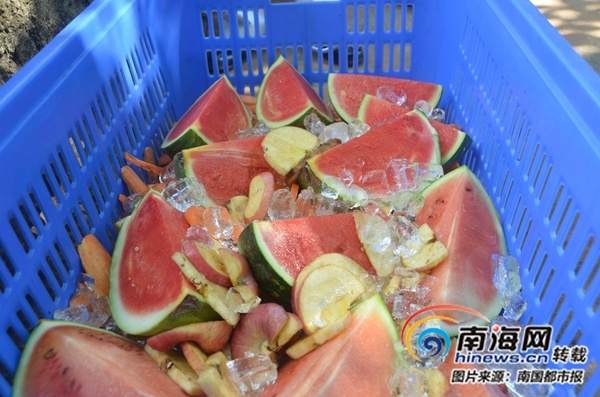 海南热带野生动植物园“花式”防暑