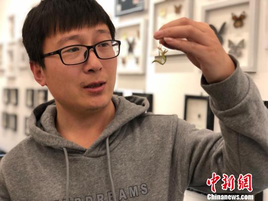 豹纹守宫、幽灵螳螂等数百只奇珍异虫亮相南京