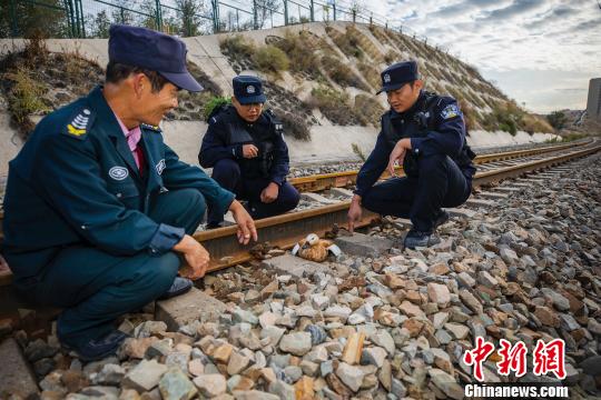 新疆铁警巡线途中救助一只受伤黄鸭