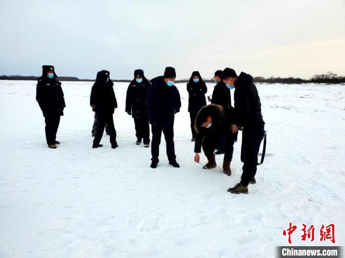 黑龙江省虎林市边境发现野生东北虎足迹