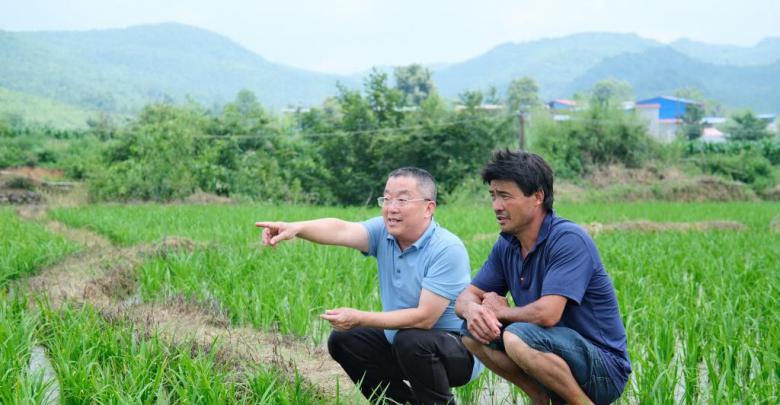 党旗在基层一线高高飘扬|十年驻守米飘香——驻村第一...