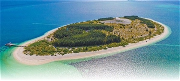 一座岛礁的绿色蜕变  三沙西沙洲：从零星几棵树到植...