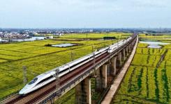 信心·恒心·初心——写给春天的中国